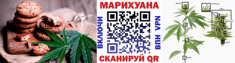 магазин продажи   Ртищево  Cannafood конопля 