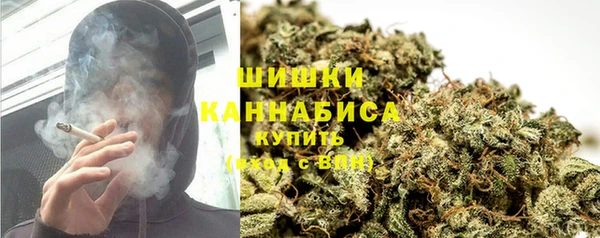 Альфа ПВП Аркадак