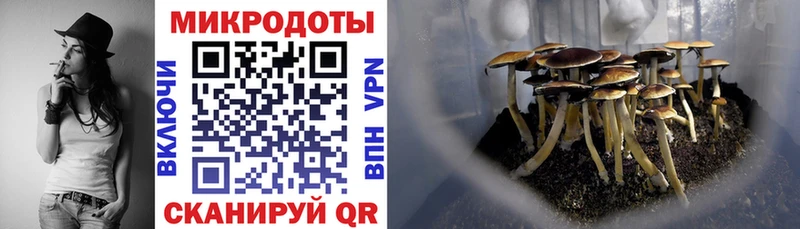 Галлюциногенные грибы Cubensis  Ртищево 
